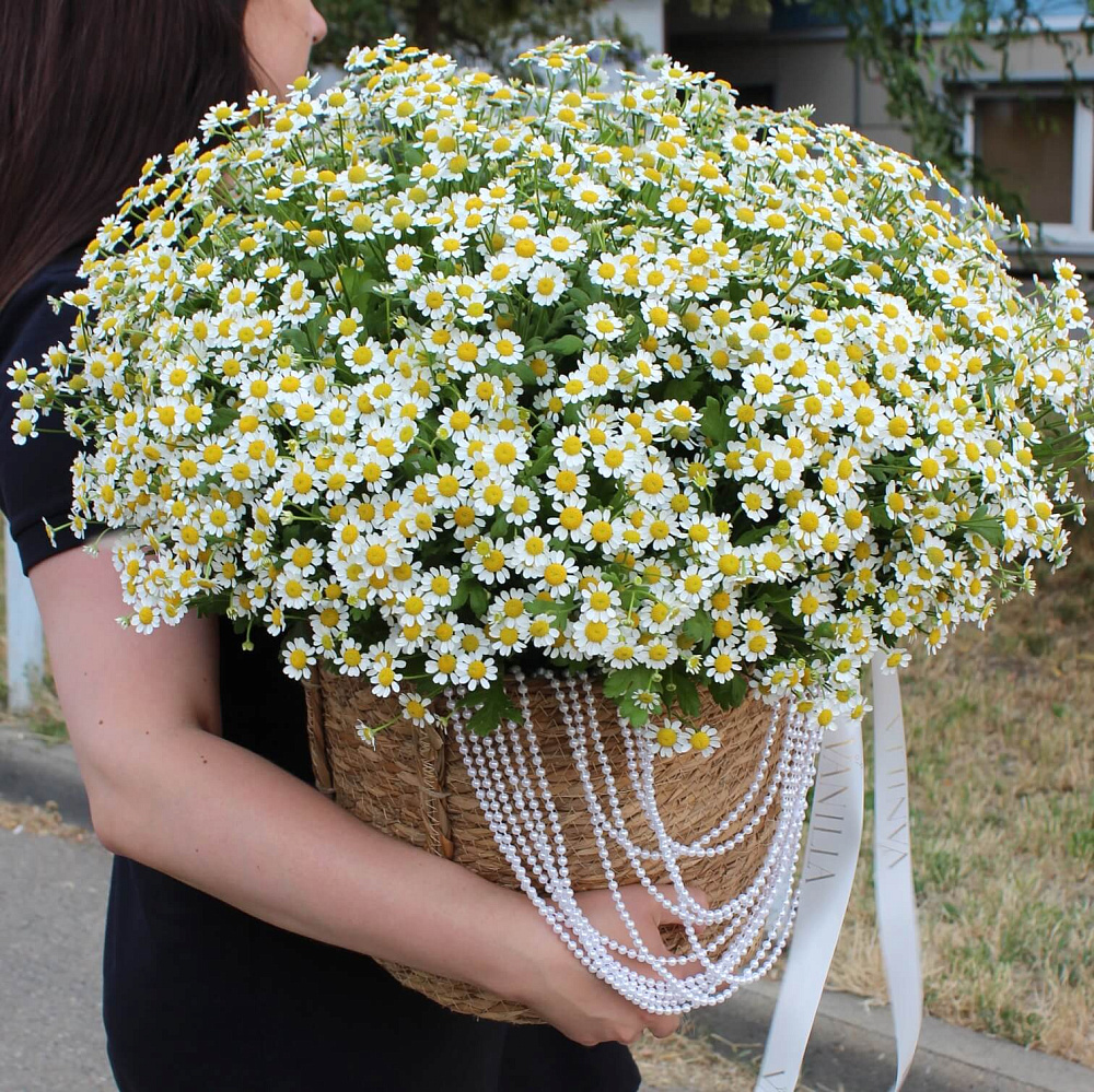 Ромашки микс в корзине