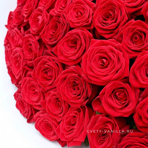 Цветы премиум-класса: 101 роза 70 см в нежном оформлении