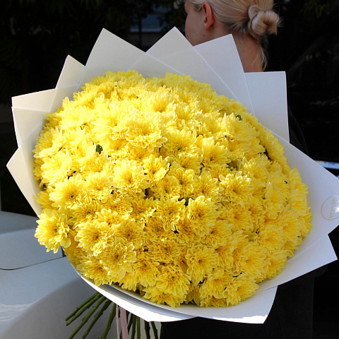 Букет из желтой хризантемы Балтика 25 шт. - изображение 2