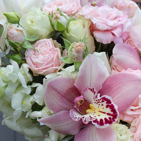 Цветы премиум-класса: розы Шляпная коробка с орхидеями и розами