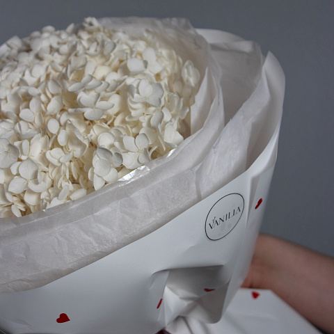 Цветы на 14 февраля: Букет из стабилизированной гортензии "Vanilla"