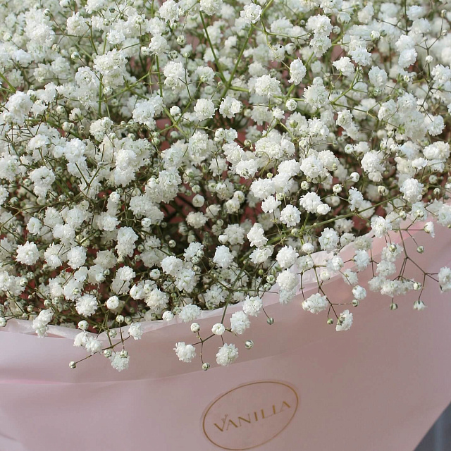 Цветы: Букет нежной гипсофилы "Ванилла"