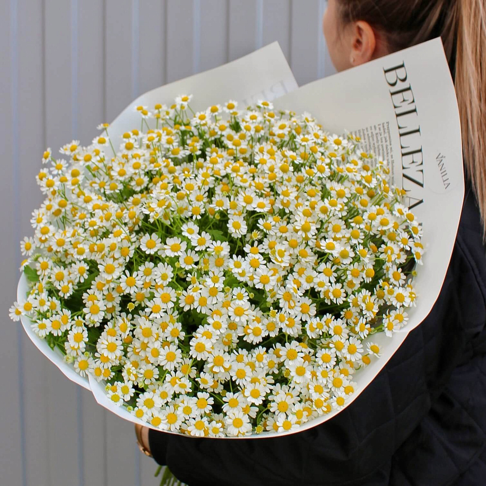 Букет ромашек "Летнее настроение"