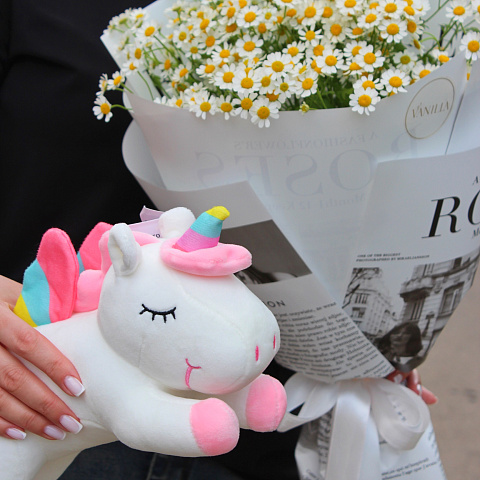 Новинки букетов 2026: Набор из букета милых ромашек и игрушки