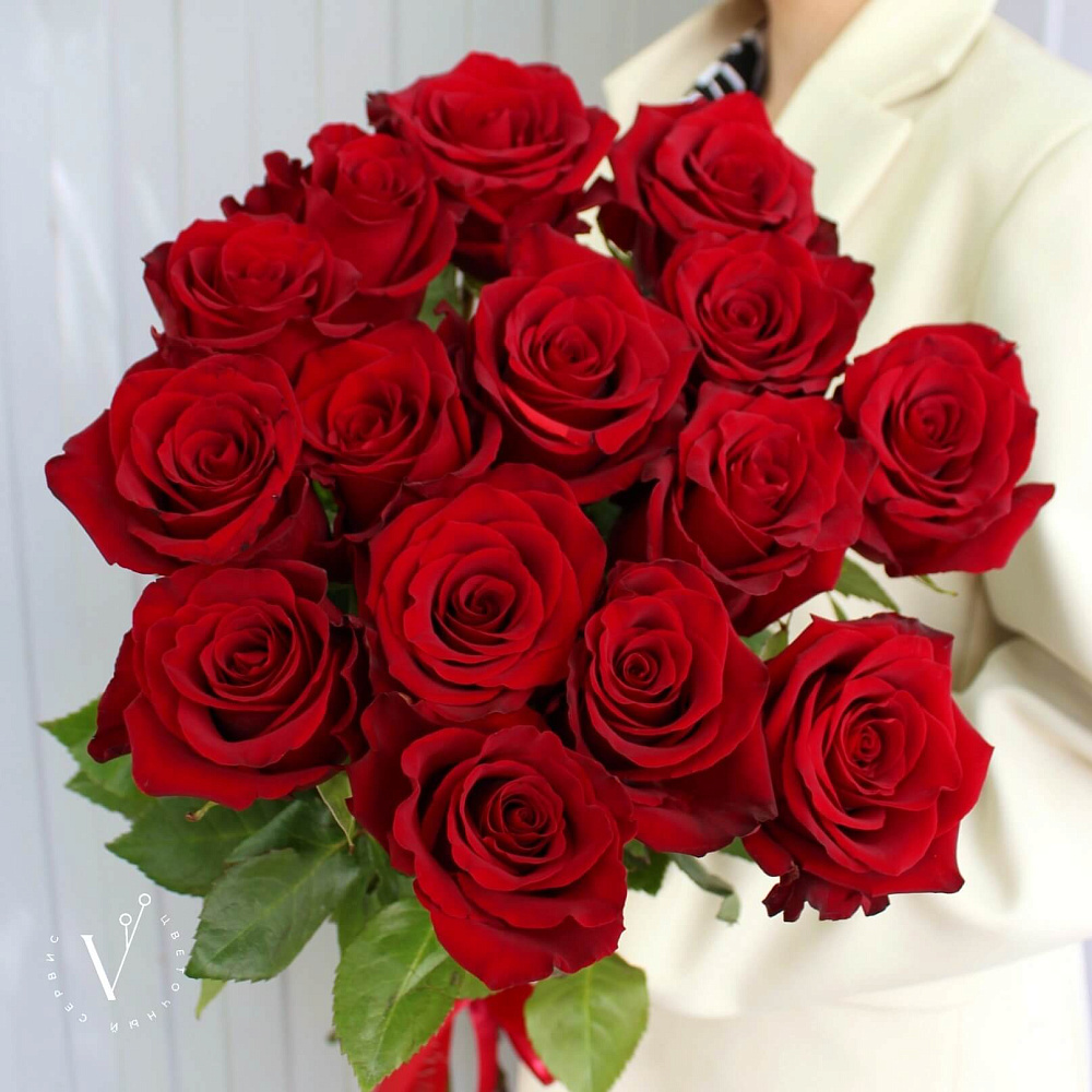 15 красных импортных роз 80 см