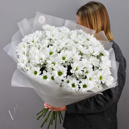 15 веток ромашковой хризантемы - изображение 2