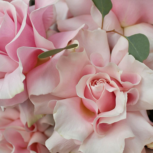 Цветы на 14 февраля: Корзина из 23 роз Pink Mondial