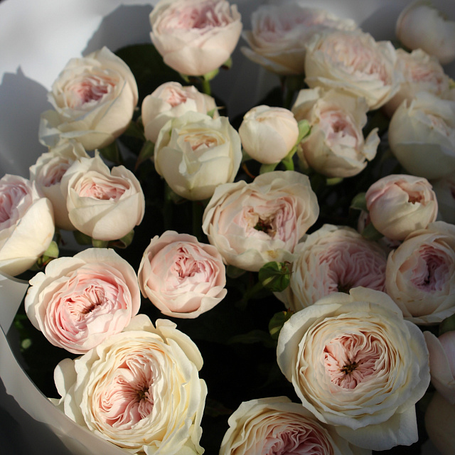 Букет пионовидных роз "Кремовый"