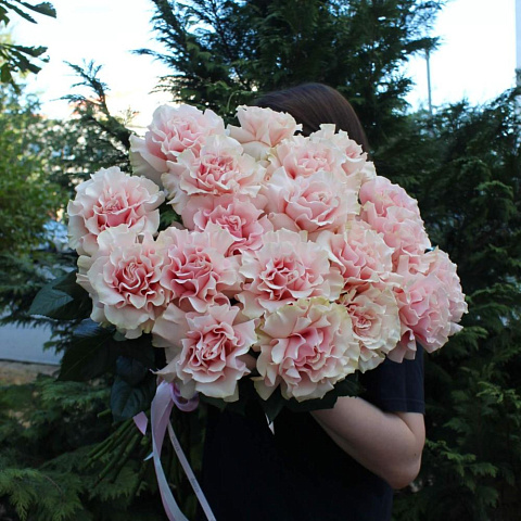 Букет из 21 французской розы Пинк Мондиаль - изображение 2