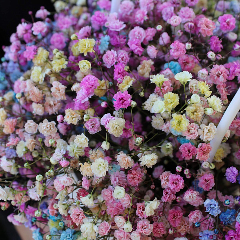Букеты гипсофилов: Радужная гипсофила в сумочке
