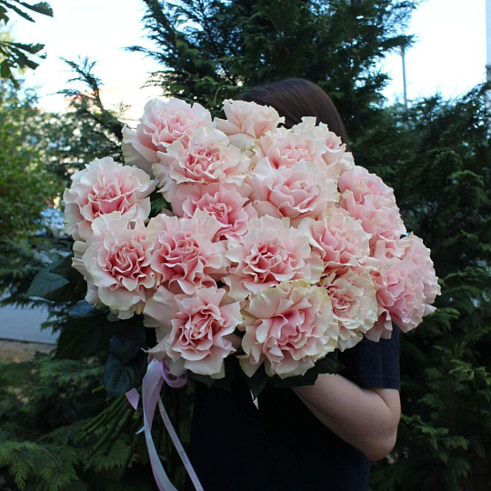 Букет из 21 французской розы Пинк Мондиаль - изображение 2