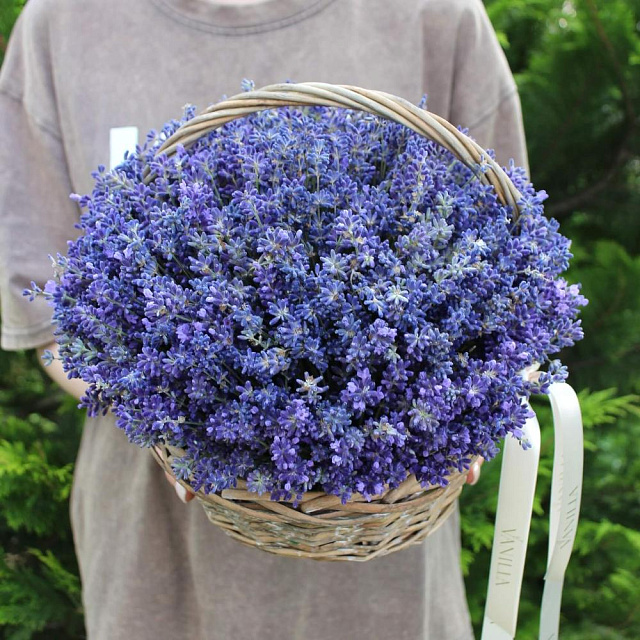 Корзина со свежей лавандой "Provans" - изображение 2