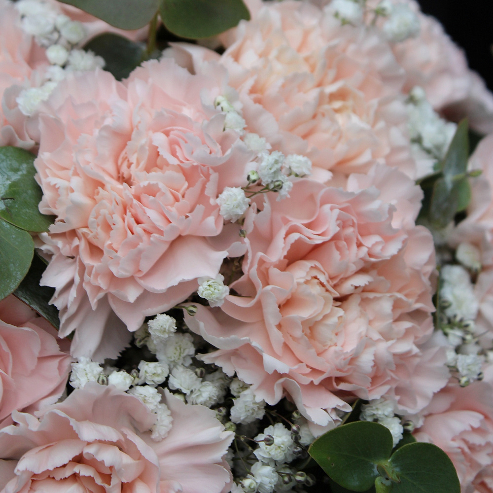 Букет невесты "Диантус"