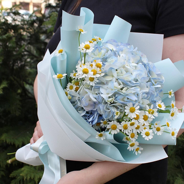 Букеты ромашек: Букет из гортензии и ромашек микс