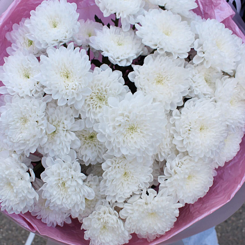 Осенние букеты  цветов с доставкой: Букет нежных хризантем Алтай