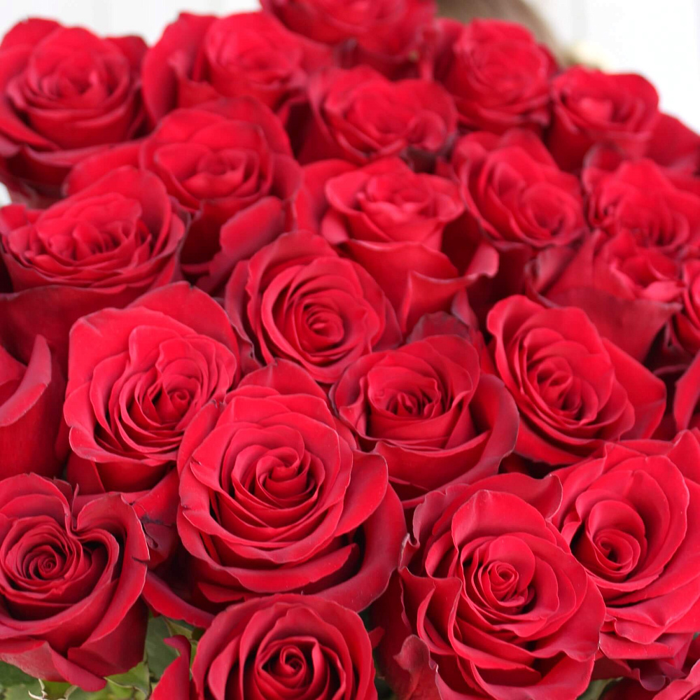 Букет из 31 розы Explorer 90 см