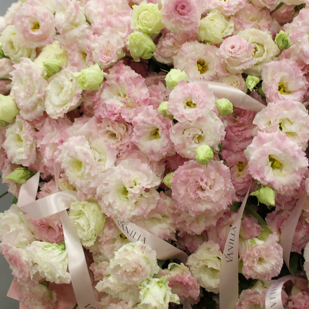 Букет из 101 эустомы «Пудра»