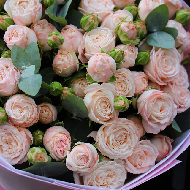 Сборные букеты  : Букет из 15 кремовых кустовых роз с эвкалиптом