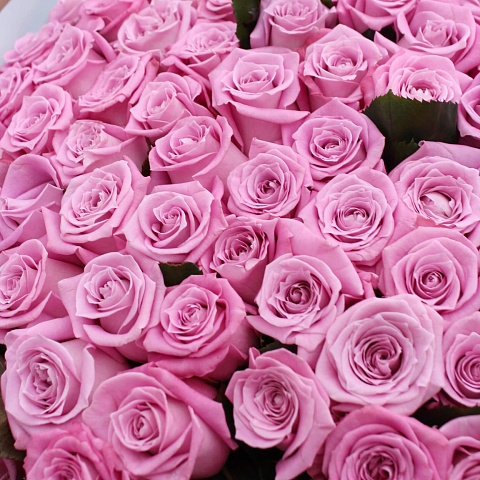 Цветы премиум-класса: Букет из 151 розы Маритим 60 см