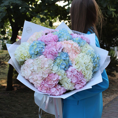 Новинки букетов 2026: Букет из 19 гортензий микс "Романтика"