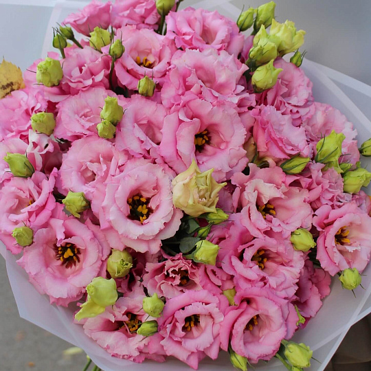 Букет из 17 веток розовой эустомы