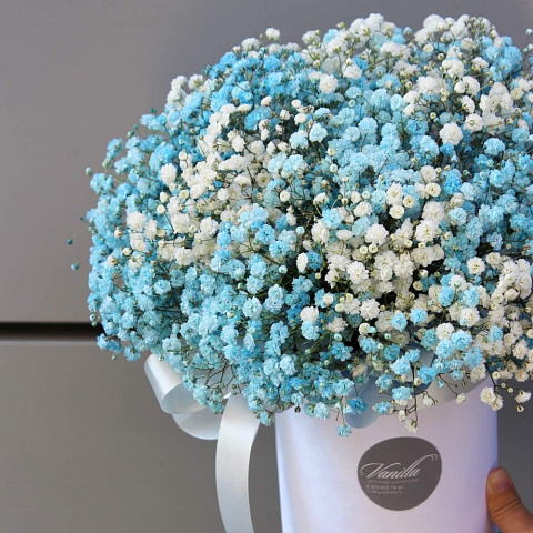 Букеты гипсофилов: Голубое облако гипсофилы в цилиндре