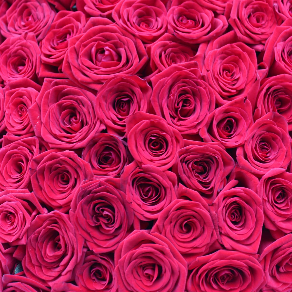 Букет из 101 розы Red Naomi 70 см