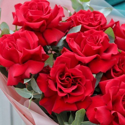 Цветы на день матери: Букет из 9 импортных роз с эвкалиптом