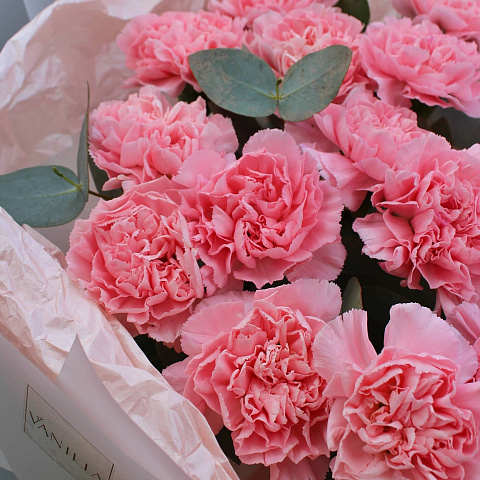 Гвоздики: Нежный букет из розовых гвоздик