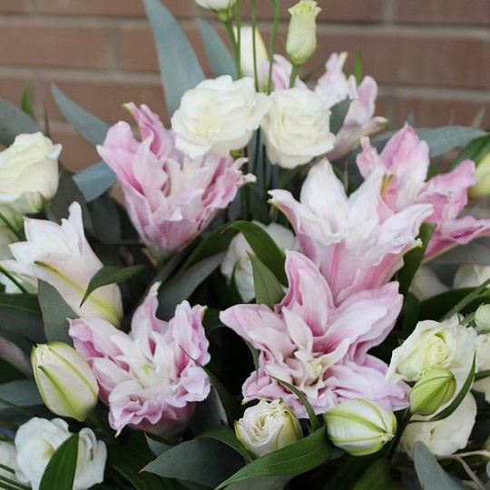 Цветы на 14 февраля: Пионовидная лилия и эустома