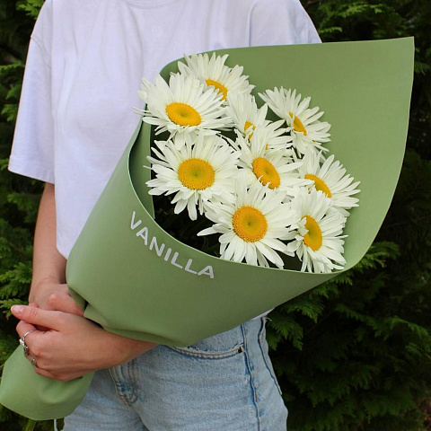 Букет из 9 крупных ромашек - изображение 2