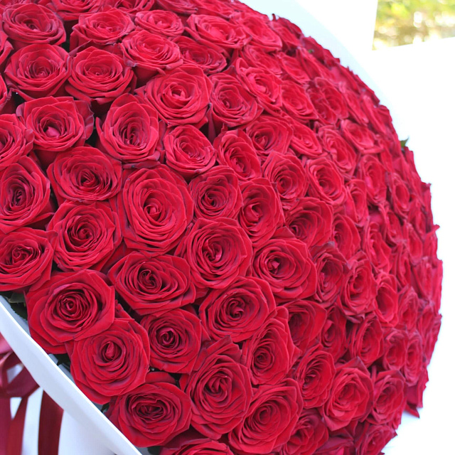 Букет из роз 60 см: Букет из 111 роз Ред Наоми 60 см