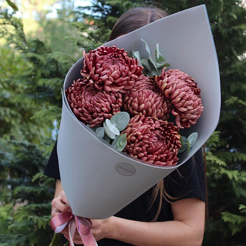 Букет из 5 хризантем Бигуди с эвкалиптом - изображение 2