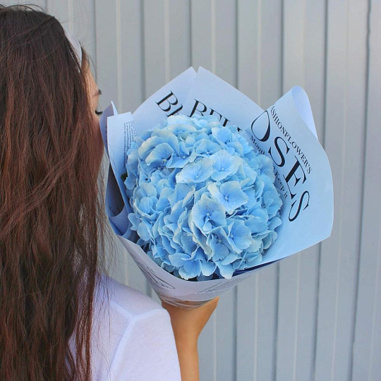 Яркая гортензия - изображение 2