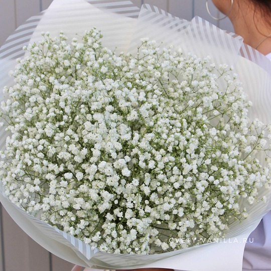 Гипсофила "Белоснежная"