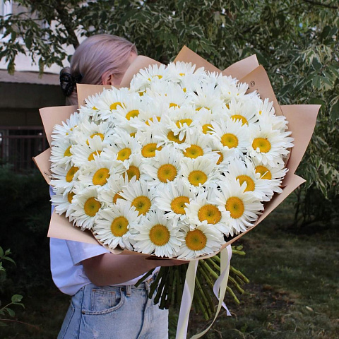 Букет из 51 ромашки в крафте - изображение 2