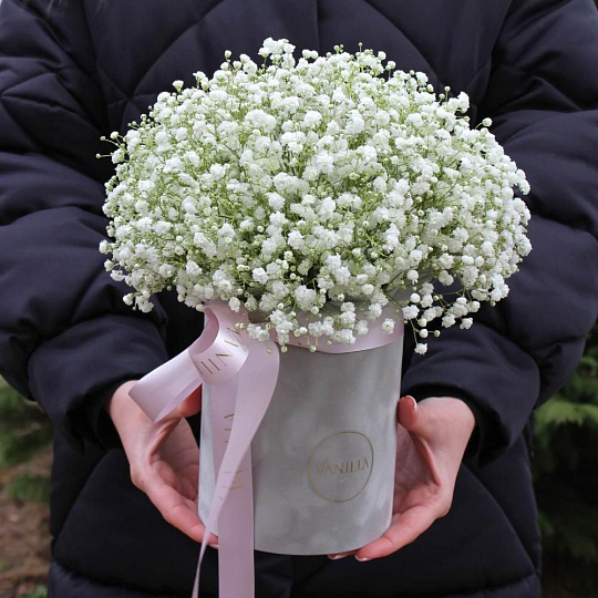 Белая гипсофила в бархатном цилиндре - изображение 2