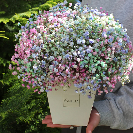 Цветы на 14 февраля: Радужная гипсофила в коробке трапеции