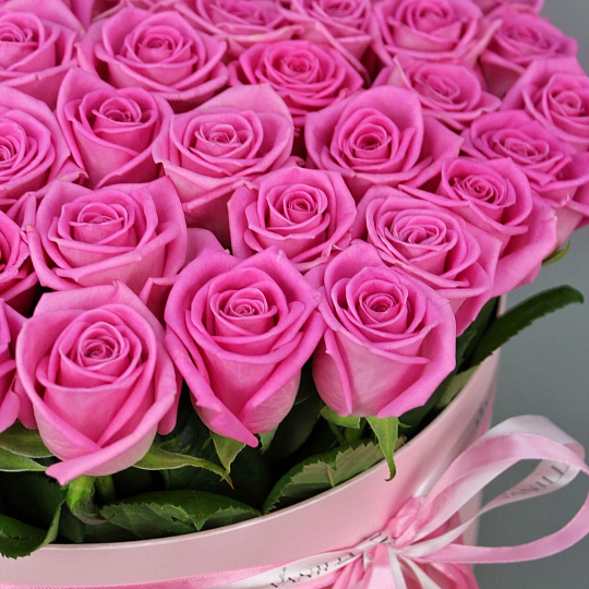 Цветы на 14 февраля: 61 роза "Aqua" в розовой коробке