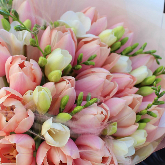 Цветы на 14 февраля: Букет с тюльпанами и фрезией «Персиковая нежность»