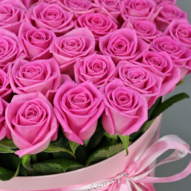 Цветы на день рождения: 61 роза "Aqua" в розовой коробке