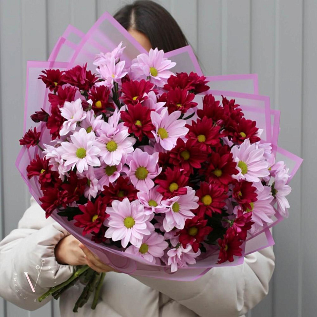 Розовый микс хризантем разноцветный - изображение 2