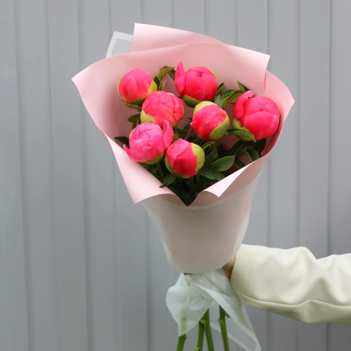 7 пионов Coral Charm в нежном оформлении