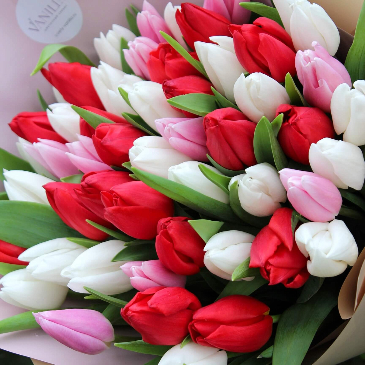 Букет из 51 тюльпана Микс цветов