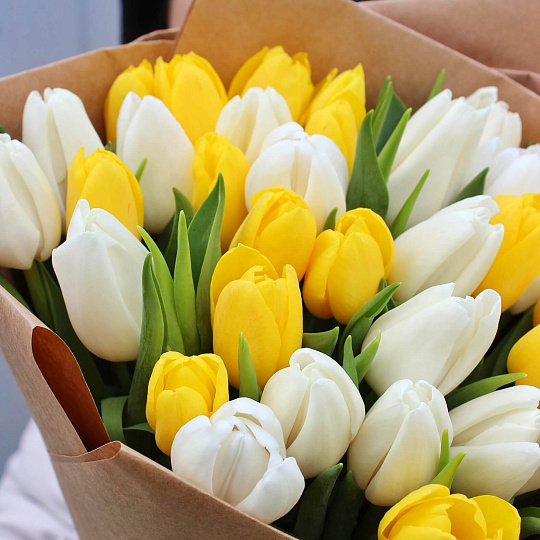 Тюльпаны: Букет микс цветов из 35 тюльпанов