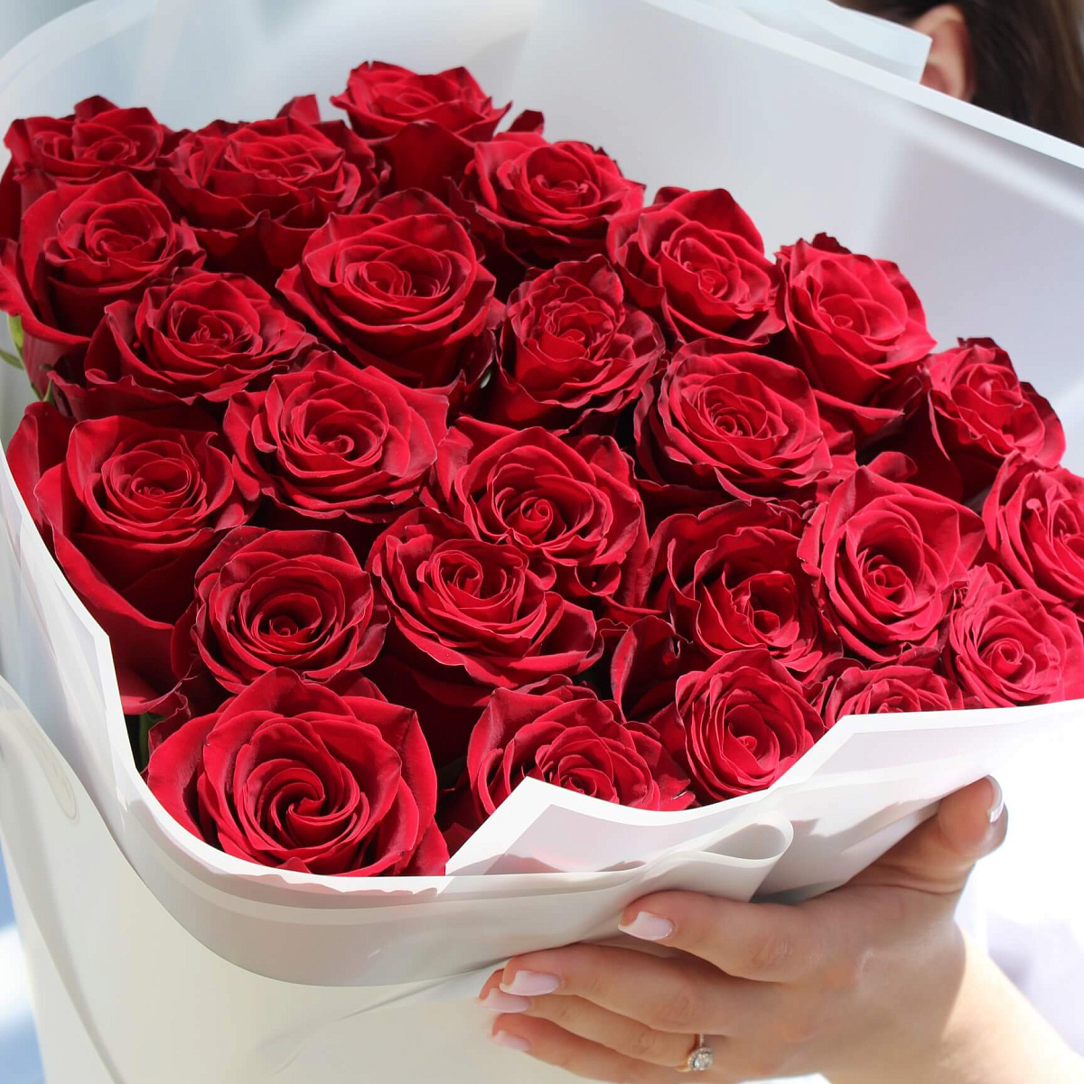 Букет из 25 роз Эксплорер 80 см