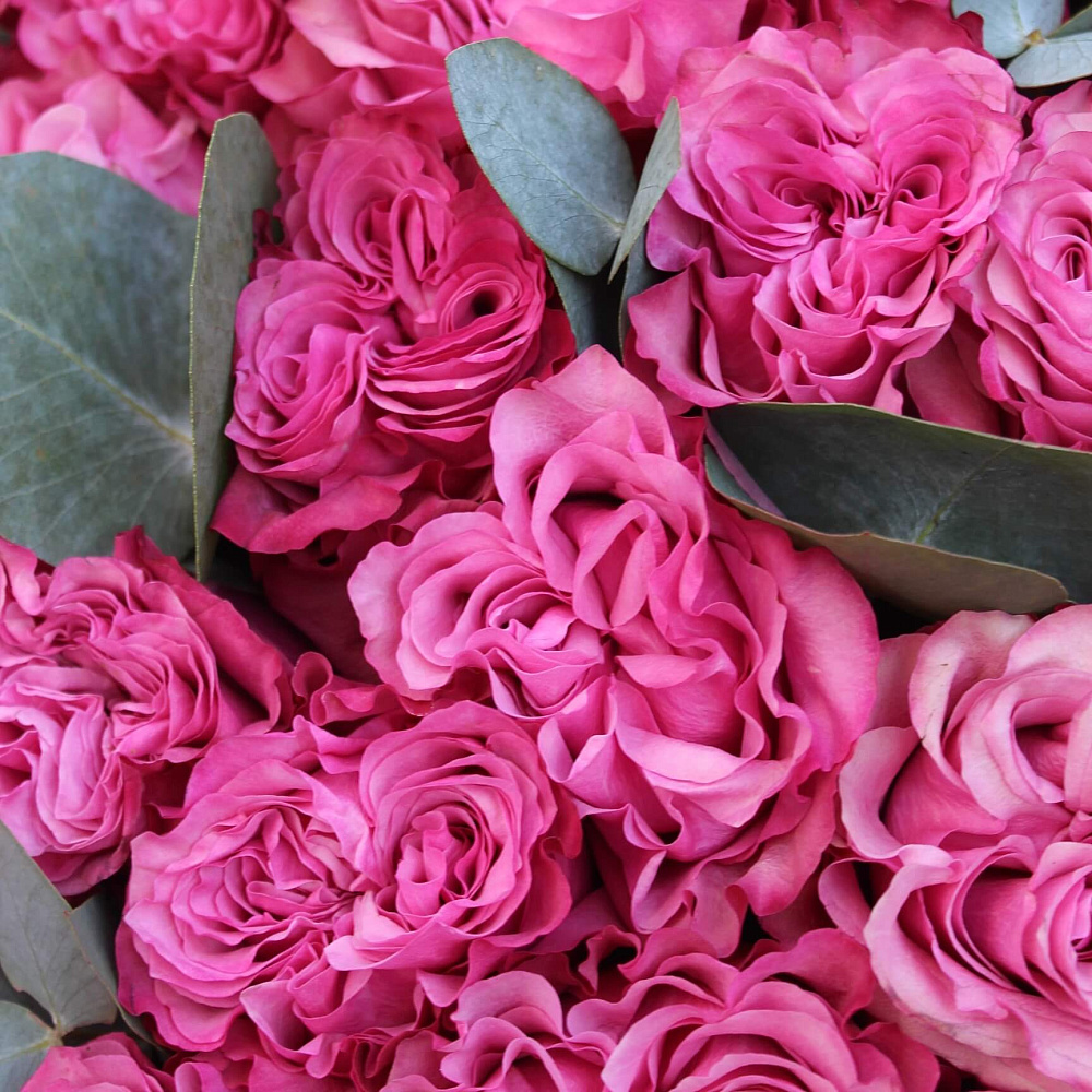 Букет из 55 роз Кантри Блюз