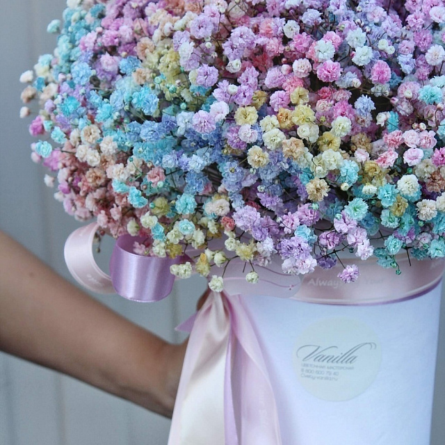 Цветы: Композиция с разноцветной гипсофилой