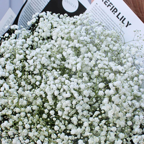 Букеты гипсофилов: Белая гипсофила в журнальном оформлении