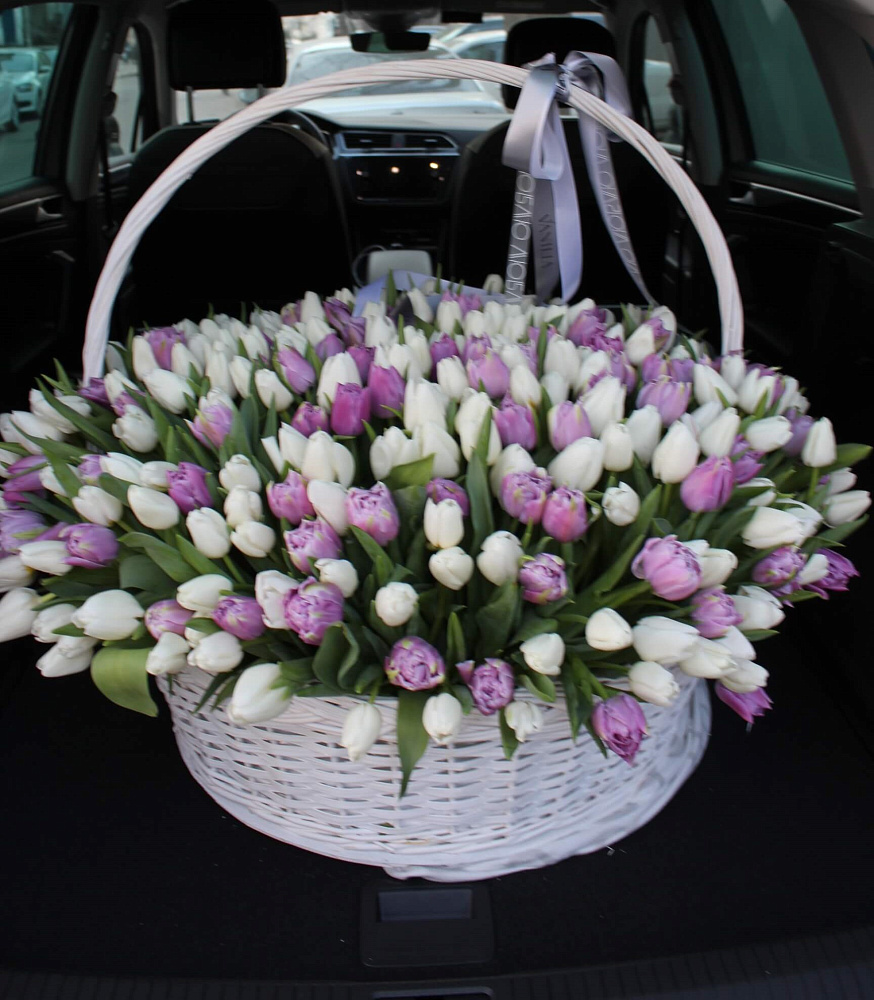 351 тюльпан в корзине VIP